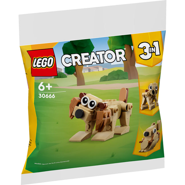 LEGO® Creator 3in1 - Ajándék állatok (30666)
