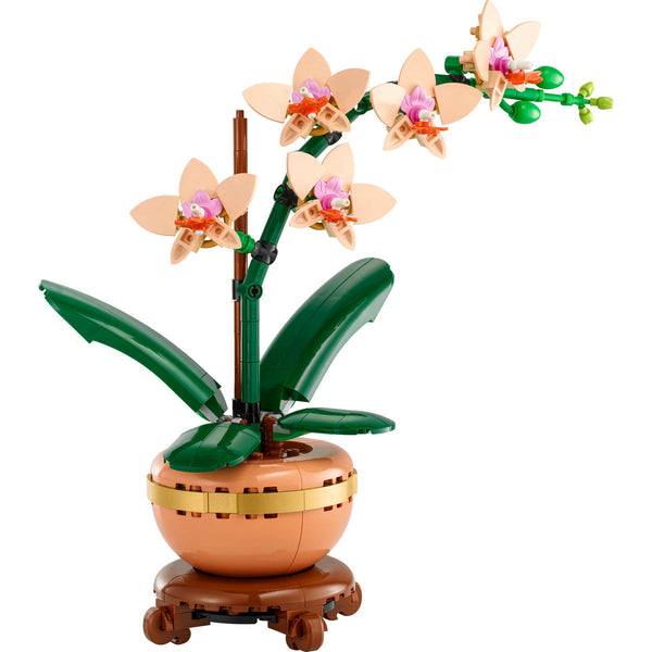LEGO Botanical Collection (10343)