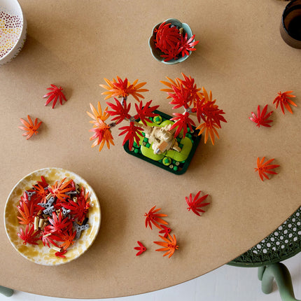 LEGO Botanical Collection (10348)