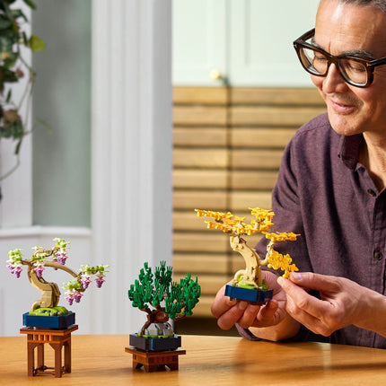 LEGO Botanical Collection (10373)
