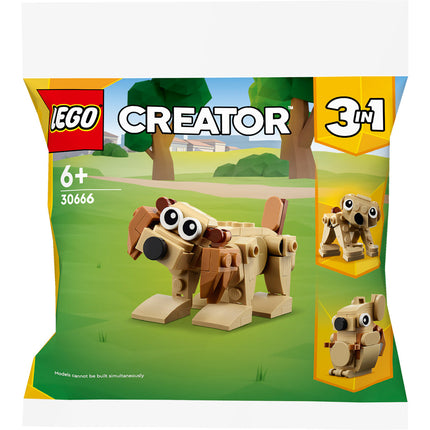 LEGO® Creator 3in1 - Ajándék állatok (30666)