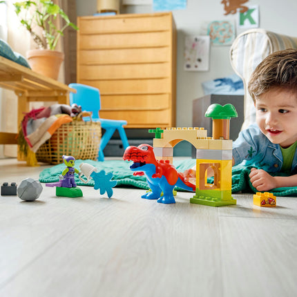 LEGO DUPLO (10463)