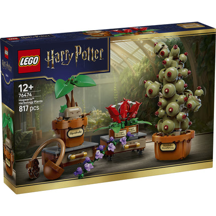 LEGO Harry Potter (76474)