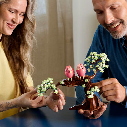 LEGO Ideas (21365)