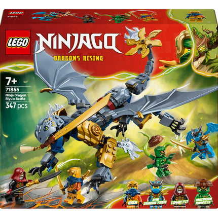 LEGO NINJAGO (71855)