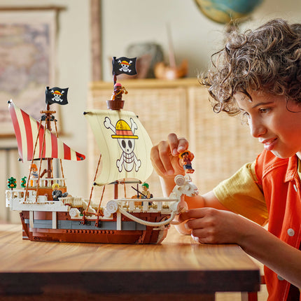 LEGO One Piece
 (75639)