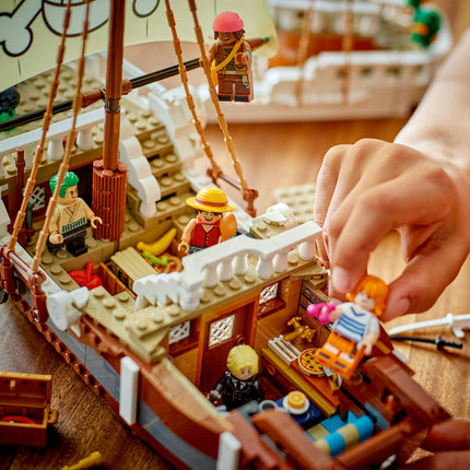 LEGO One Piece
 (75639)
