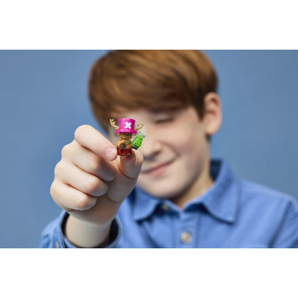 LEGO One Piece
 (75641)