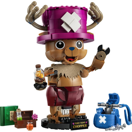 LEGO One Piece
 (75643)