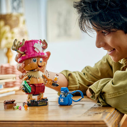 LEGO One Piece
 (75643)