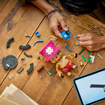 LEGO One Piece
 (75643)