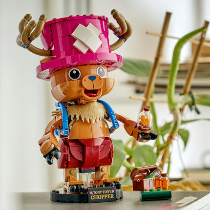 LEGO One Piece
 (75643)