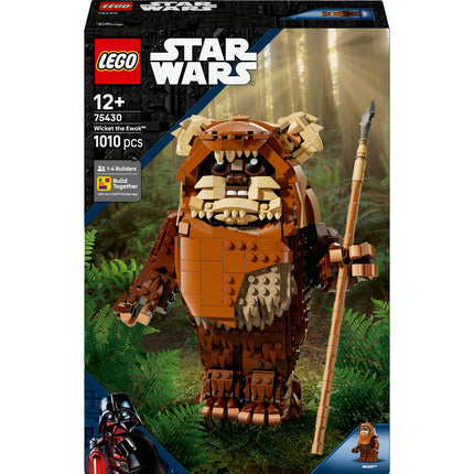 LEGO Star Wars (75430)